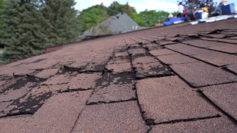 Kearney, NE Roofing Services Company